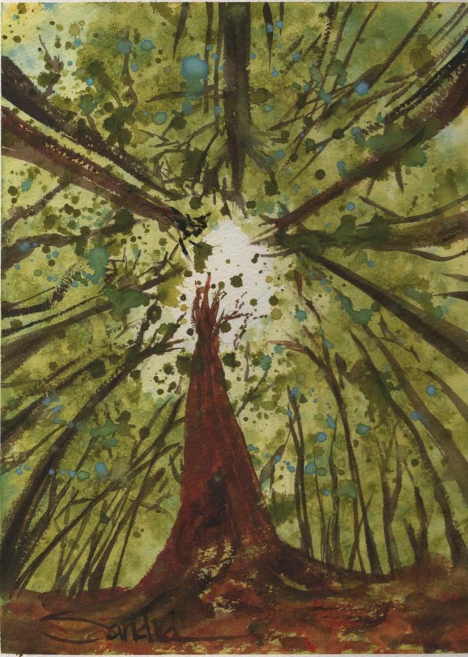 Lying in the Forest  Signed LE Print : California Redwoods  SandraWatercolors™ - Image 1 of 1