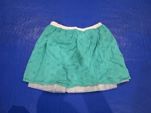 Green Skirt - Youth Size L (12) - Picture 1 of 3