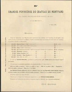 03 ST-POURCAIN-SUR-SIOULE PEPINIERE CHATEAU DE MONTFAND FELIX MALGRAS TARIF 1904 - Foto 1 di 1