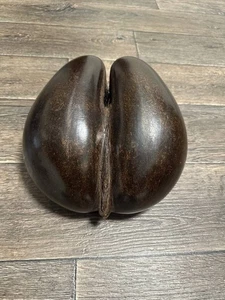 Antiker Samenkorb Coco de Mer Nuss - Bild 1 von 7