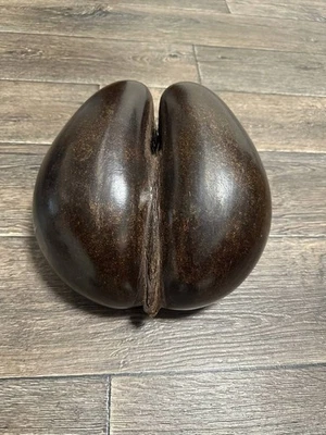 Antigua cesta de semillas de nuez de coco de mer Foto 1 de 4