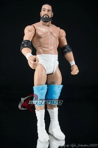 Mattel WWE Basic 35 Damien Sandow Suelto GRAN FORMA - Imagen 1 de 2