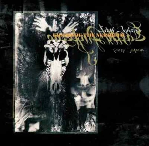 CD Fields Of The Nephilim Earth Inferno Rebel Rec - Bild 1 von 1