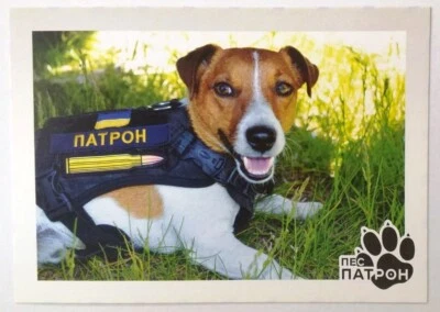 Enviaré una postal TRAGAMINAS Sapper Dog Patrón Ucrania por correo certificado. Foto 1 de 2