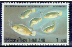 THAILAND 1978 Fish (Fauna) 1b - Picture 1 of 2