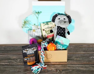 Dog Gift Box Hamper | Toys & Treats | Rope Plush Ball Squeaky | Birthday - Picture 1 of 9