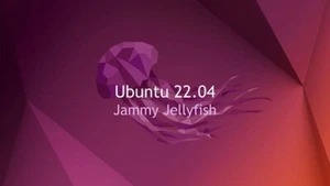 Ubuntu 22.04. Linux Bootable Installation USB Flash Drive - Picture 1 of 3