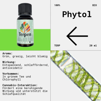 GEBO GEFTI HYDROPONICS Phytol 20 ml | Reines Terpen