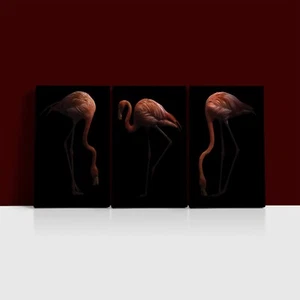 AMERICAN FLAMINGO BIRD ON DARK  3 Set Poster Print and 3x Framed Canvas Wall Art - Picture 1 of 7