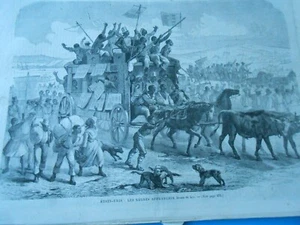 Gravure 1869 - Etats Unis Les Nègres Afranchis - Foto 1 di 1