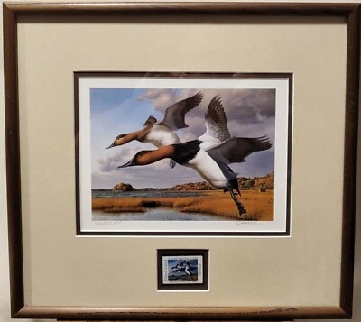 RHODE ISLAND  #1 1989 STATE DUCK STAMP PRINT CANVASBACKS by Robert Steiner - Image 1 of 4
