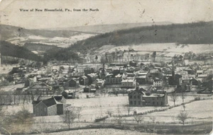 Nuovo Bloomfield PA * Vista da Nord ca. 1908 * Perry Co.  - Foto 1 di 2