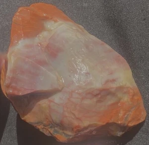 Petrified Rainbow Wood Nugget  136 Grams- 4.8 Oz Arionia - Picture 1 of 8