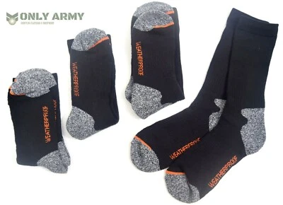 4 pares de calcetines WEATHERPROOF® para exteriores acolchados térmicos trabajo senderismo caminar calcetín Foto 1 de 4