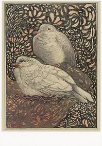 Postcard Theo van Hoytem "Two Pigeons" (c1902-18) Birds MINT Unused - Picture 1 of 1