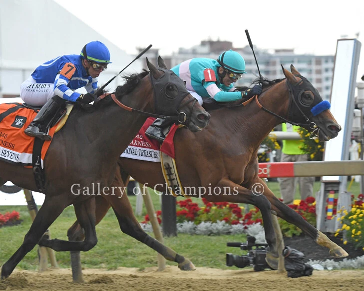 National Treasure 2023 Preakness Stakes Finish Photo