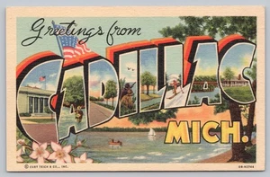 Cadillac MI Large Letters Greetings Hunting Fishing Skiing Lake Postcard N4 - Picture 1 of 2