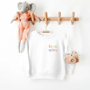 Love Wins Kids Sweatshirt Rainbow Jumper Embroidered Personalised LGBT - Picture 1 of 4
