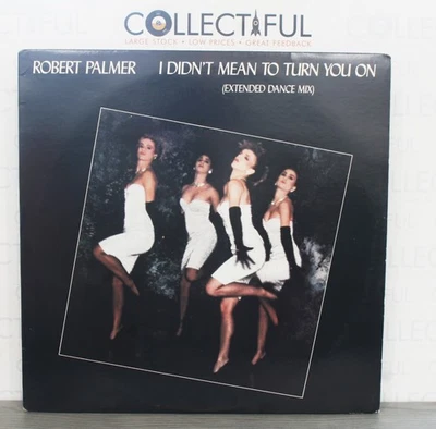 ROBERT PALMER - I DIDN'T MEAN TO TURN YOU ON - 1986 *EX* 12" VINYL SINGLE  🔥 - Image 1 of 2