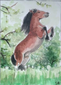 ACEO original Painting Art Card animal HORSE #03 Hand Painted 2.5x3.5 - Picture 1 of 2