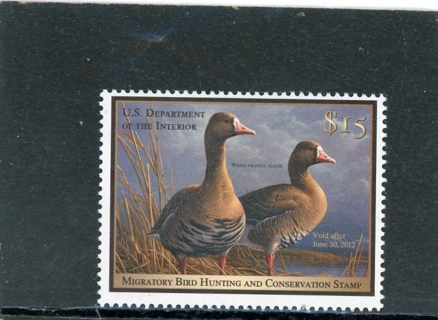 RW78 2011 Federal Duck Mint NH w/ Discount Coupon - Image 1 of 1