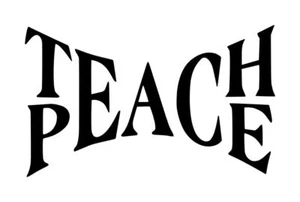 Teach Peace Decal #1 3"x5" Choose Color - Picture 1 of 2