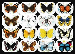 # GLANZBILDER # Krüger 98-140 Schmetterlinge hellblauer Hintergrund, selten ! - Bild 1 von 1