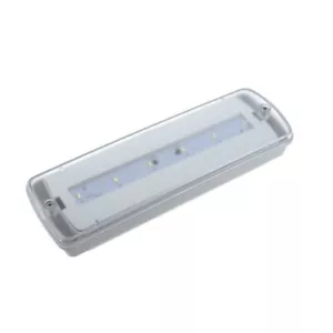 Luz de emergencia Exterior 1w DUAL IP65 - Luz Fría 6000ºK - 80 lúmenes - Imagen 1 de 8