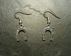 Hufeisen Glücksbringer Ohrringe Anhänger Charm Sammlerstück Geschenk - Bild 1 von 1