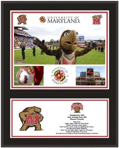 Maryland Terrapins Sublimated 12" x 15" Plaque - Fanatics Cover