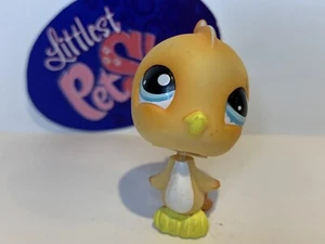 PERIKEET #976 - Auténtico Littlest Pet Shop - Hasbro LPS - Imagen 1 de 4