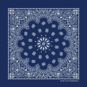 Navy Paisley 22x22 Bandanna - Picture 1 of 1