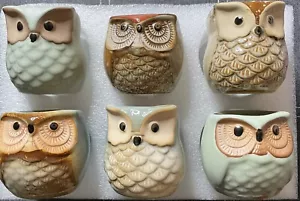 6 PCS Owl Pots 2.5 Inch Planters Mini Ceramic Succulent Pots with Hole NOB - Picture 1 of 10