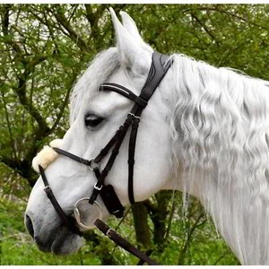 Rhinegold Luxe Anatomical Mexican Noseband Bridle Black Full - Picture 1 of 1