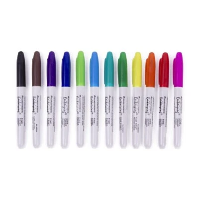 12 Feutres Indélébiles Marqueur Permanent Pointe Fine 12 Couleurs CD Verre Etc - Imagen 1 de 3
