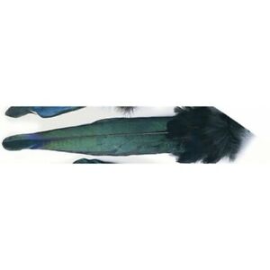 Magpie Tail, Fly Tying Feathers, For Making Trout Flies, Hackles for Flies