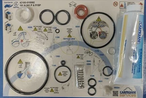 Carpigiani IC193-010082 TUNE UP KIT,CARPICARE KIT 191 241P & P/SP 6/12 MESI - Picture 1 of 1