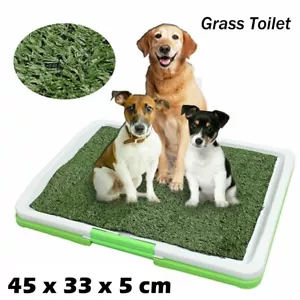 Indoor Dog Pet Potty Training Toilet Portable Loo Clean Pad Tray - 1 Grass Mat - Picture 1 of 4