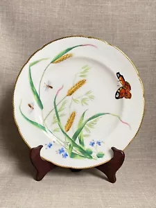 Antique c1870 Minton Gilt Edge Botanical Butterfly Plate Aesthetic Movement - Picture 1 of 19
