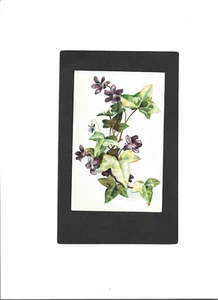 TUCK & SONS VINTAGE PC "Floral" UNUSED No Writing CLEAN Violets & Ivy - Picture 1 of 2
