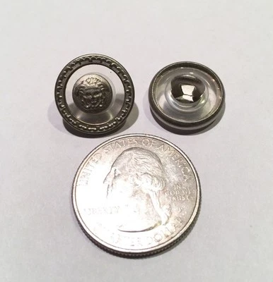 One (1) Brushed Silver Clear Plastic Button of Greek Mythology Medusa Snake Head - Image 1 of 3