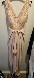 Forever New Dress Size 6 Ballgown Prom Graduation Evening Formal Pink Lace - Picture 1 of 4