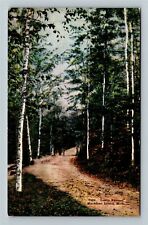 Mackinac Island MI-Michigan, Leslie Avenue, Vintage Postcard
