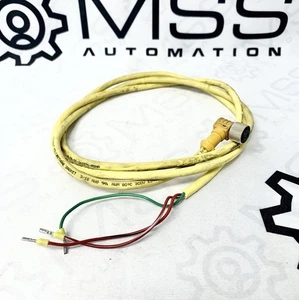 Turck P-7K-SC-261071-MSHA Cordset 3-Pin 300V - Picture 1 of 3