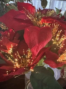 Holiday Time 16" Glasfaser LICHTER WEIHNACHTEN Weihnachtsstern Steck-FARBRAD A++ - Bild 1 von 24