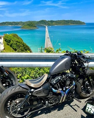 Custom Handmade Exhaust  2 into 2 Fits Harley Davidson Sportster iron 883 - Изображение 1 из 4