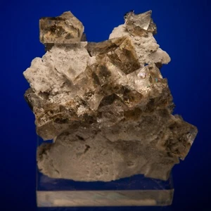 Fluorite Herendeen Bay, Aleutians East Borough, Alaska 2303-270 - Imagen 1 de 5
