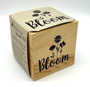 Bloom Basil Wooden Cube Blossom Kit NEW Gift Idea Herb Garden 3" - Picture 1 of 7