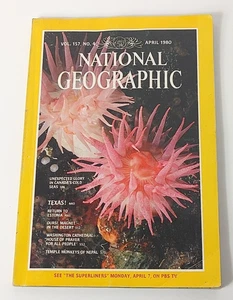National Geographic Magazine April 1980 Texas Washington Cathedral Monkeys - Picture 1 of 8