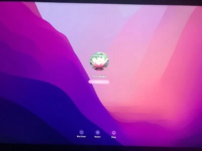 500GbSSD PNY CS900 for iMac 21.5" & 27" late 2014 to 2019 Big Sur 11 7 5 FAST!!! - Image 1 of 4